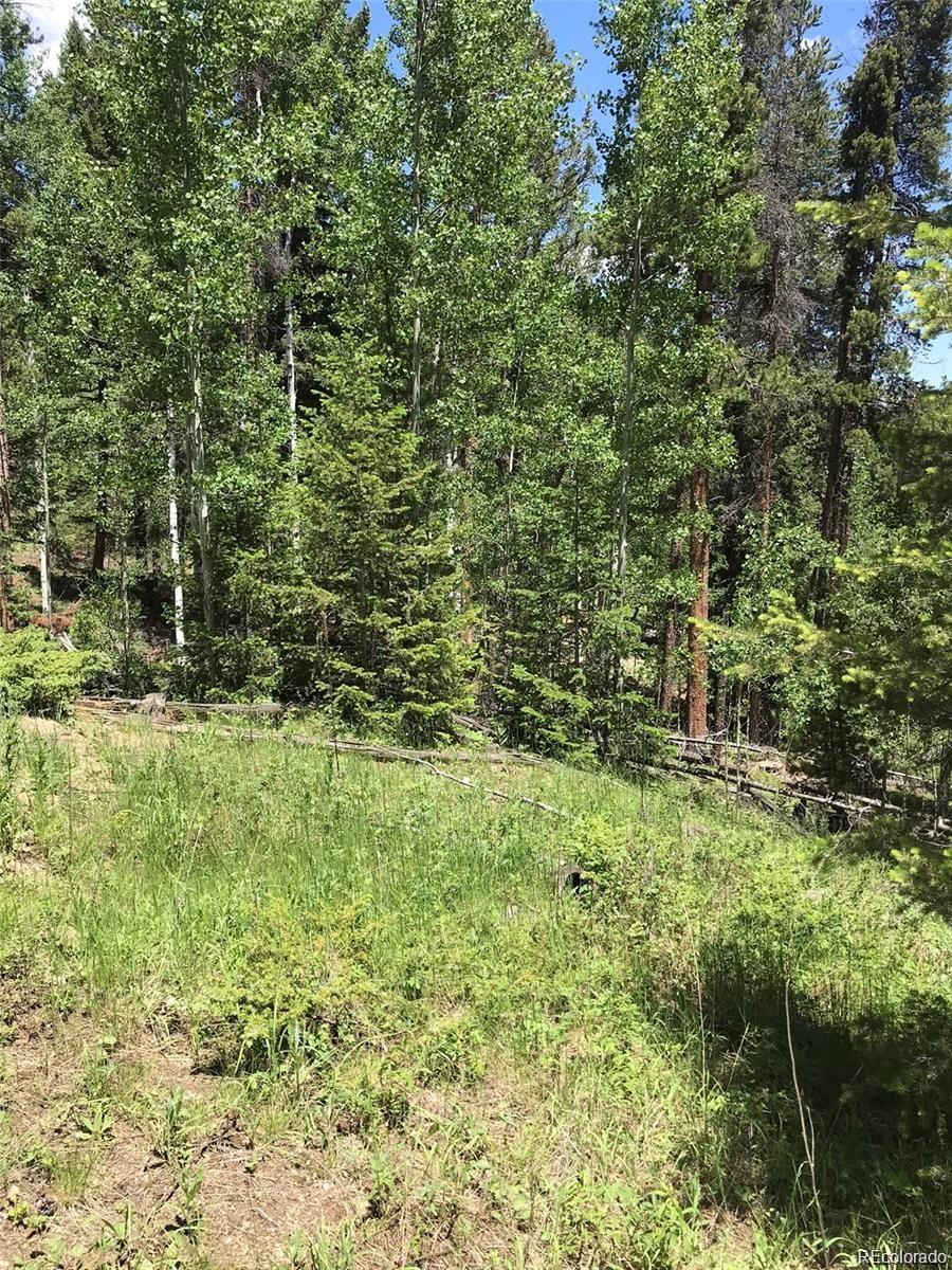 0 Talus Circle Black Hawk, CO 80422 - Photo 9 of 36