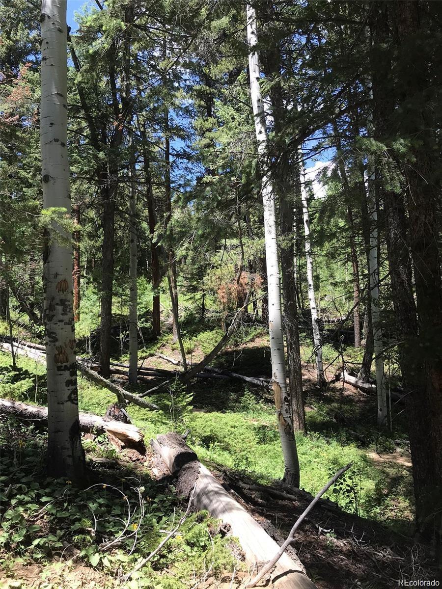 0 Talus Circle Black Hawk, CO 80422 - Photo 10 of 36