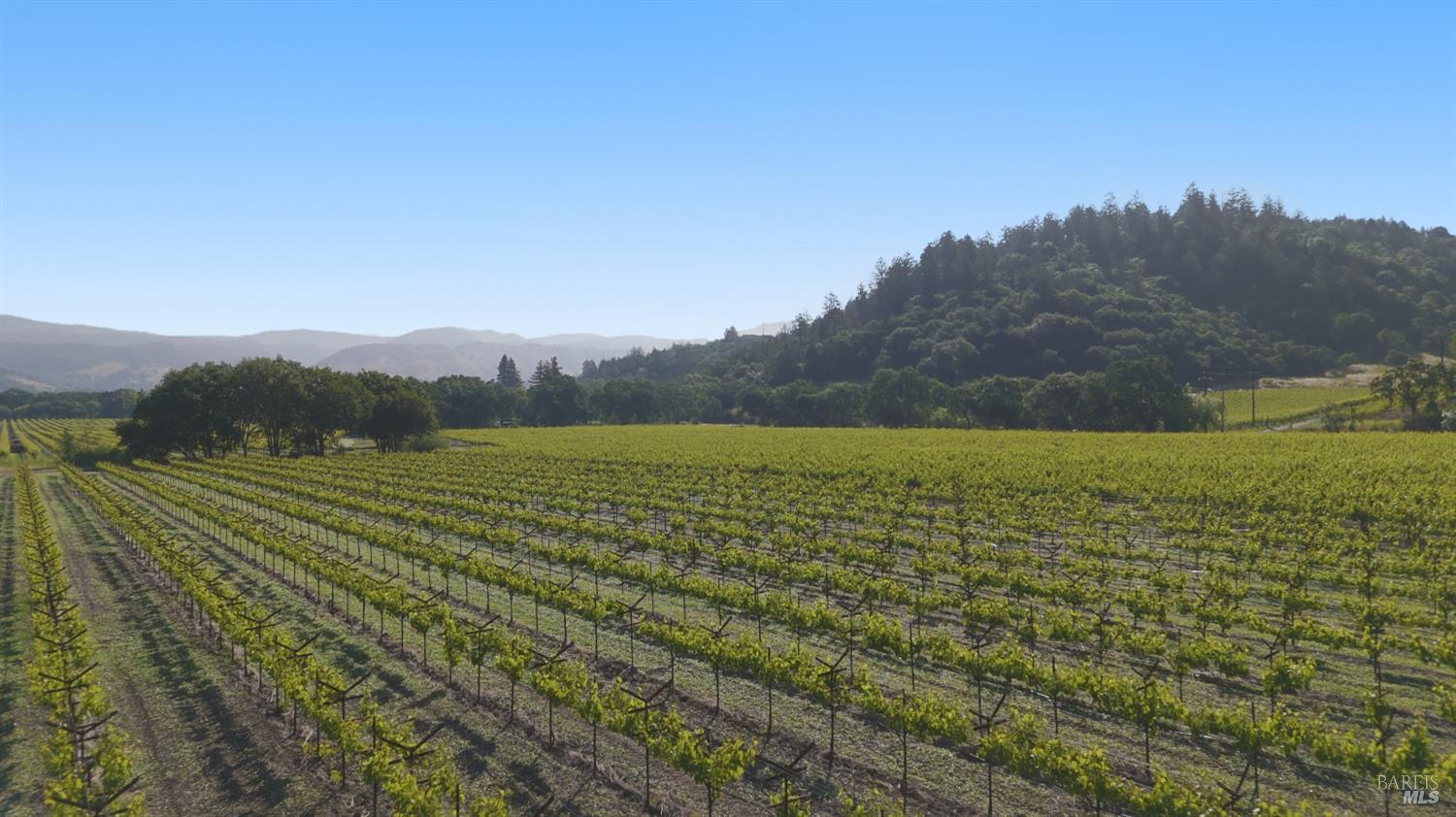 1300 Yount Mill Road Napa, CA 94558 - Photo 6 of 12