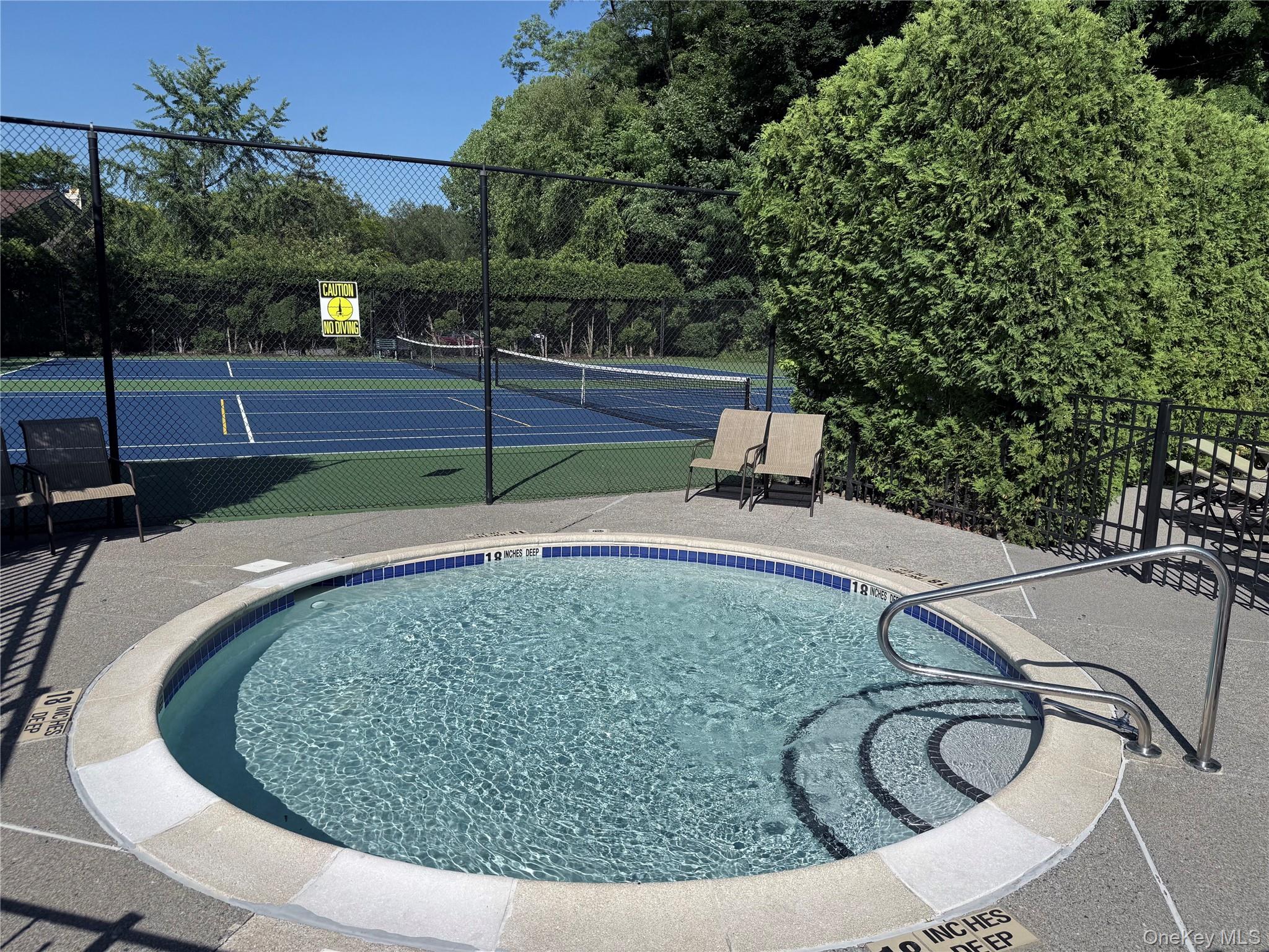611 Pondside Drive White Plains, NY 10607 - Photo 28 of 40 Second pool