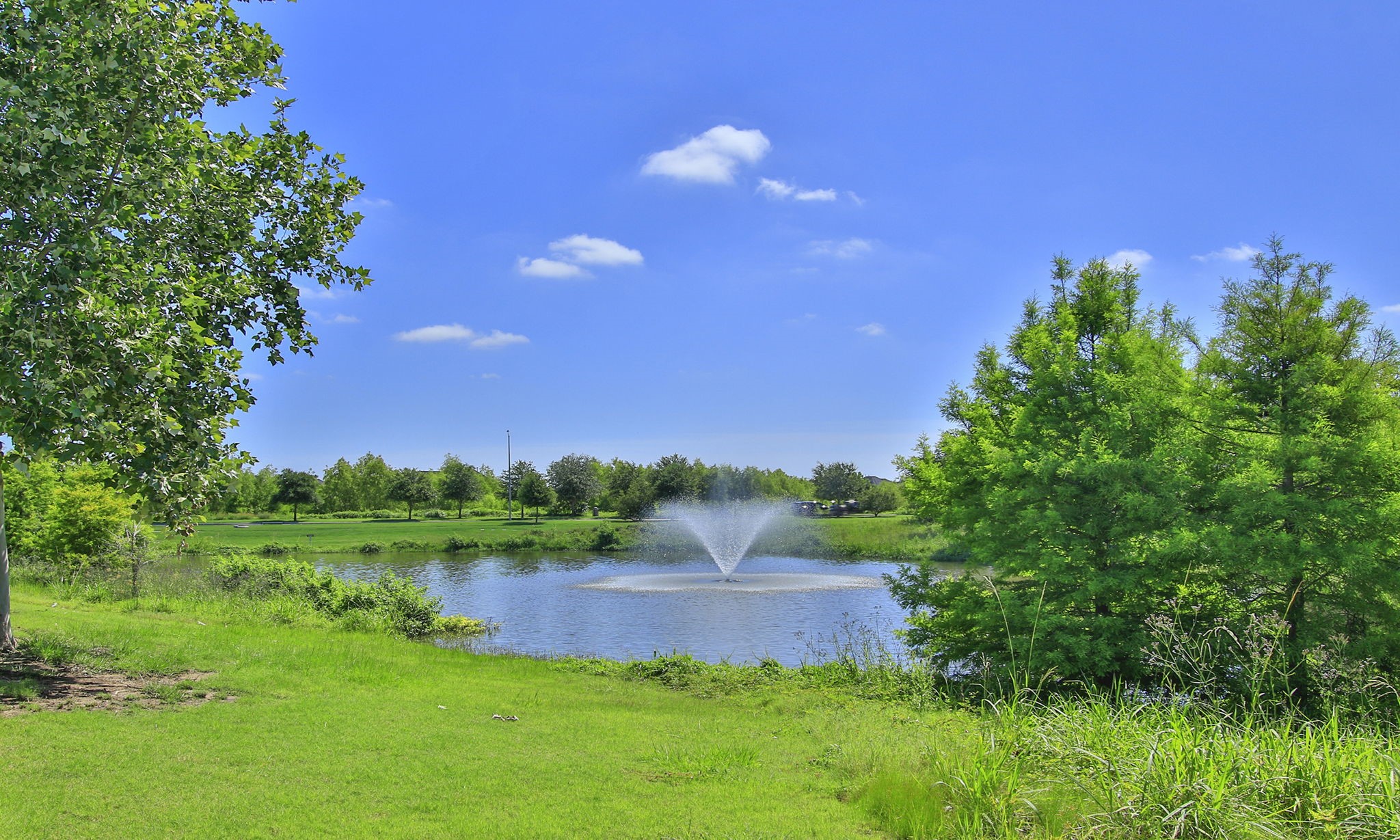 28518 Hoffman Spring Lane Fulshear, TX 77441 - Photo 45 of 50 Can you imagine having this incredible view right in your backyard?