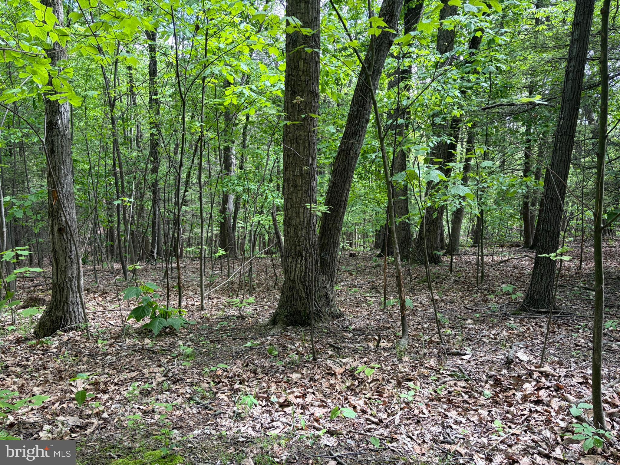 9766 Valley View Road Three Springs, PA 17264 - Photo 37 of 47