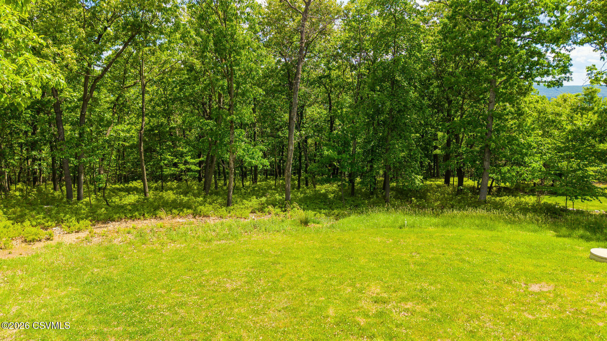 72 Bentwood Road Drums, PA 18222 - Photo 10 of 48