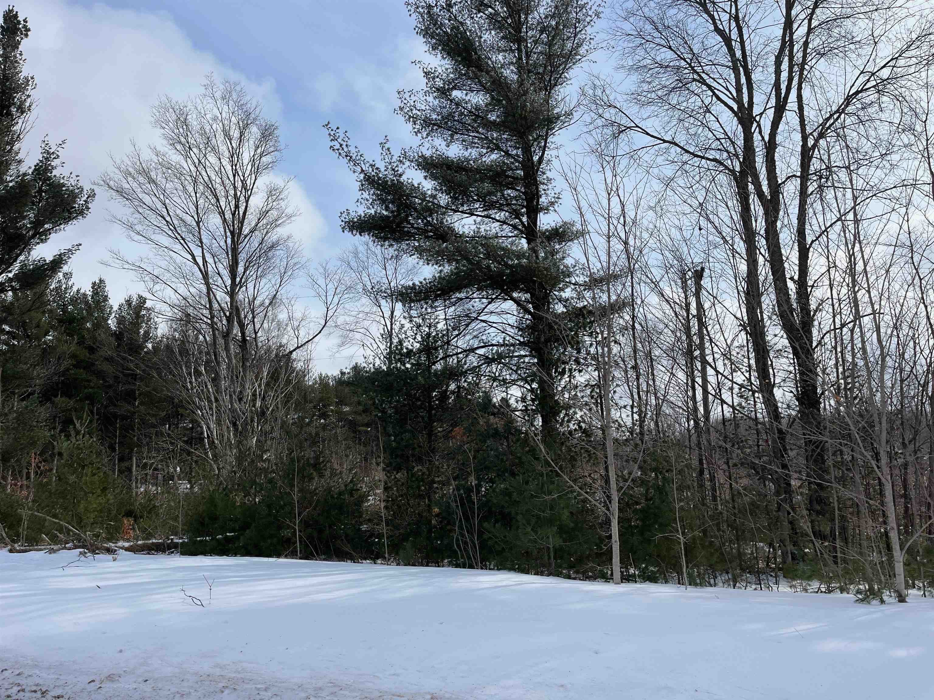 3 King Road, Unit LOT: 3 Benzonia, MI 49616 - Photo 11 of 14