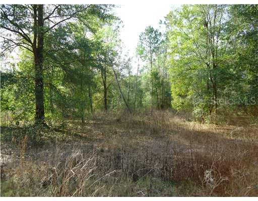0 Jordan Road Dade City, FL 33523 - Photo 1 of 1 View