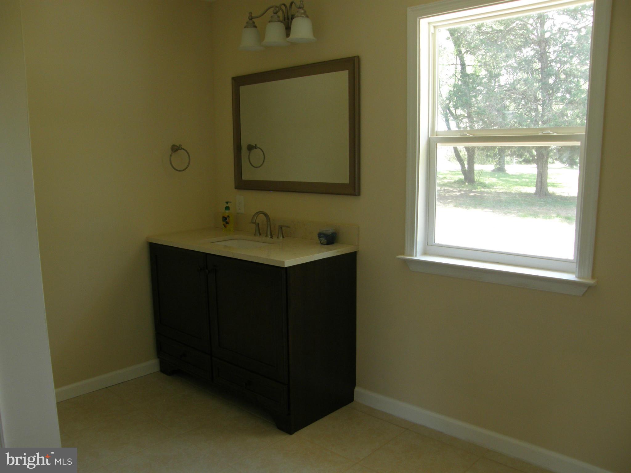 103 Dutchess Road Chestertown, MD 21620 - Photo 16 of 29 Master Bath with plenty of outside light.