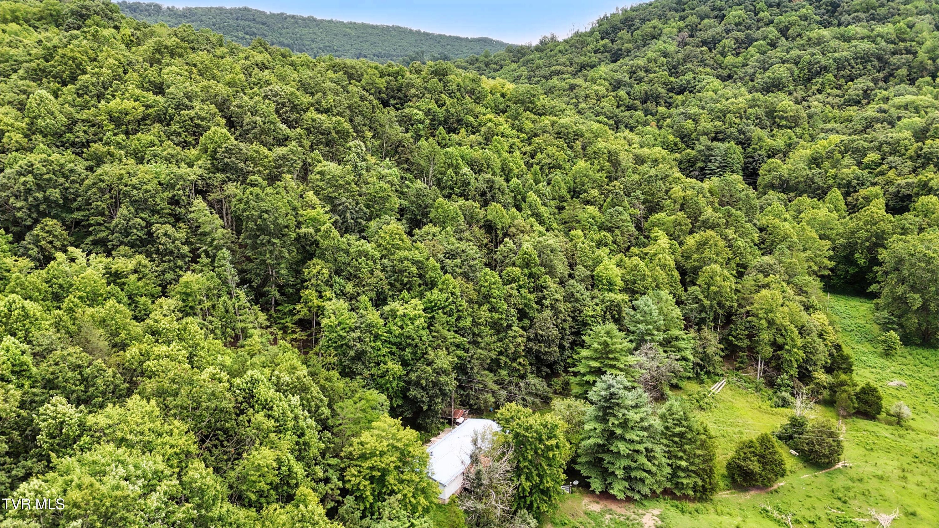 4916 Jasper Road Duffield, VA 24244 - Photo 13 of 31 DJI_20250802122135_0591_D