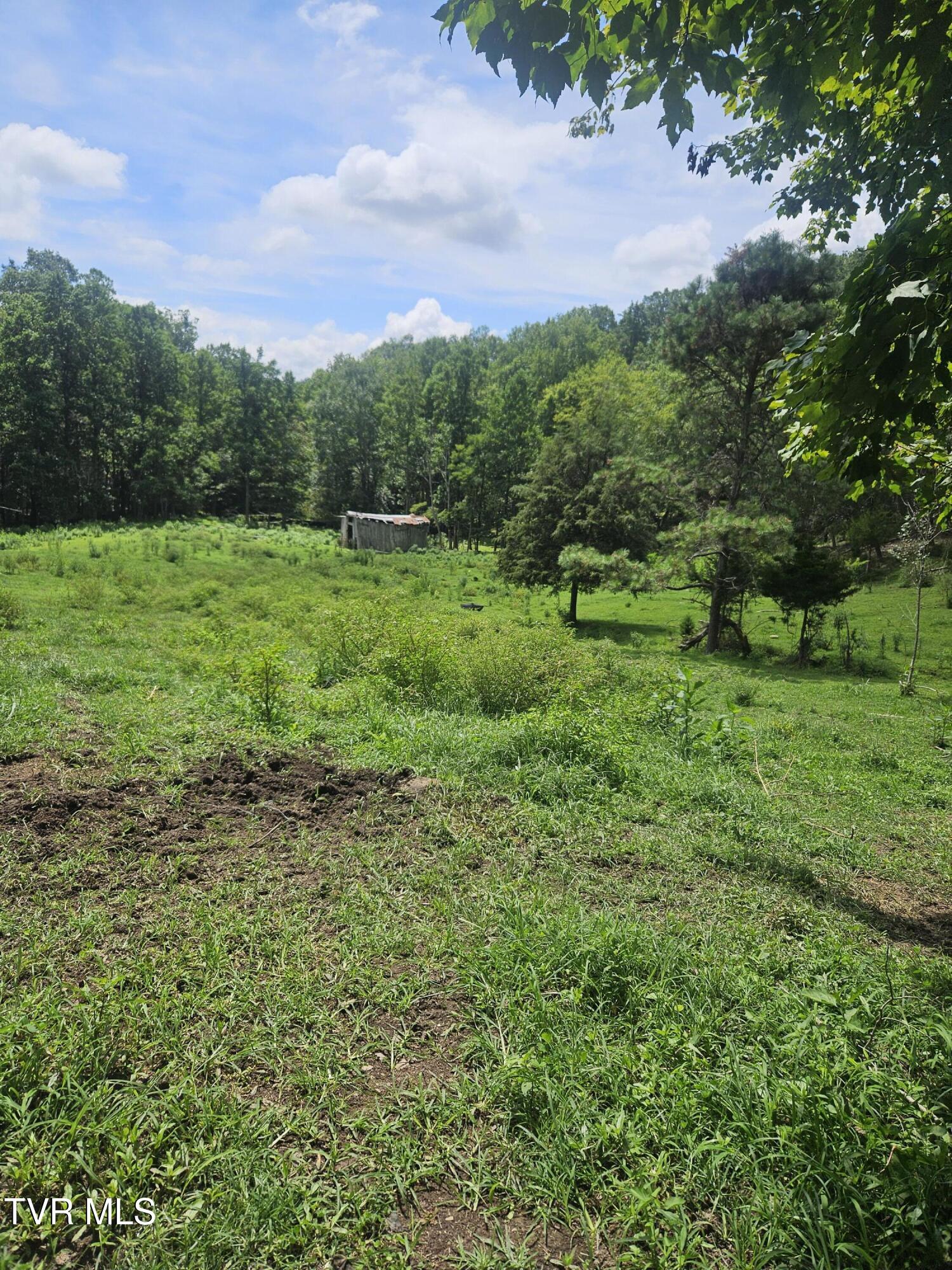 4916 Jasper Road Duffield, VA 24244 - Photo 25 of 31 20250808_123955