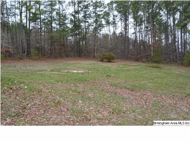 110 County Road 392 Cullman, AL 35057 - Photo 20 of 21
