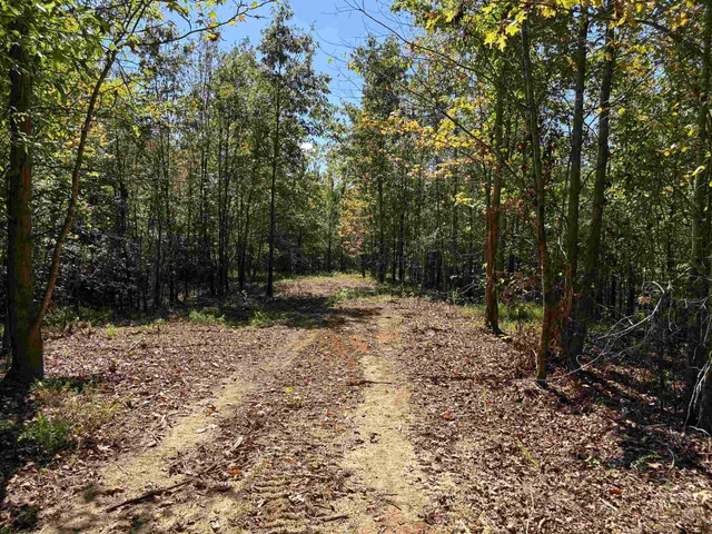 a view of outdoor space with trees