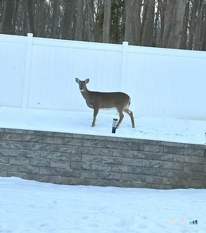 $559,900 | 22 Harnish Lane, Wallingford, CT 06492