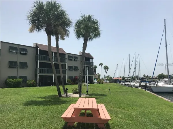 a small garden in the grass with a palm tree