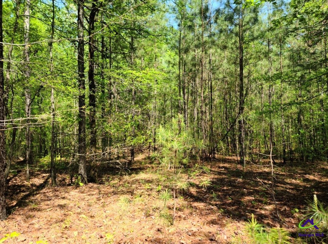 0 Sutton Road Forsyth, GA 31029 - Photo 2 of 2