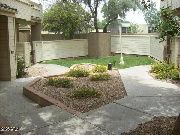 a view of a backyard