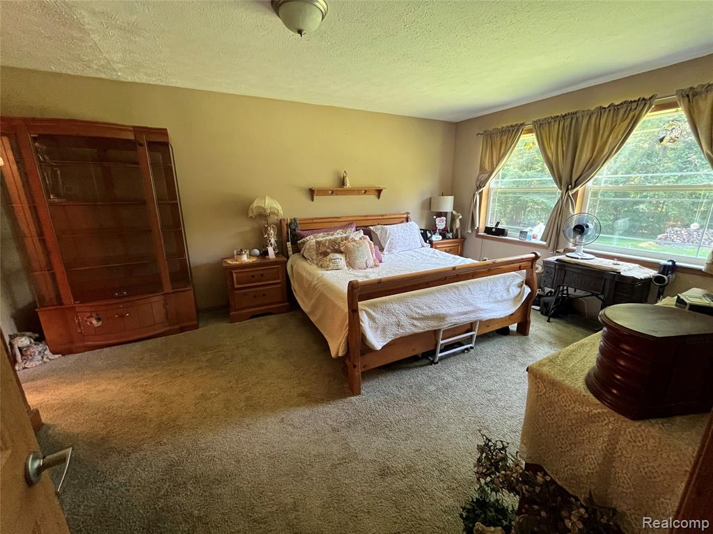 28524 Elwell Road Belleville, MI 48111 - Photo 39 of 84
