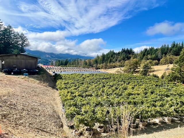 20 Burr Valley Road Bridgeville, CA 95526 - Photo 15 of 15