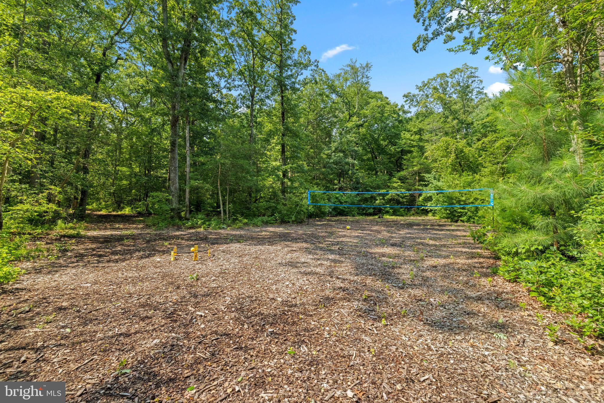 225 Batts Neck Road Stevensville, MD 21666 - Photo 42 of 58