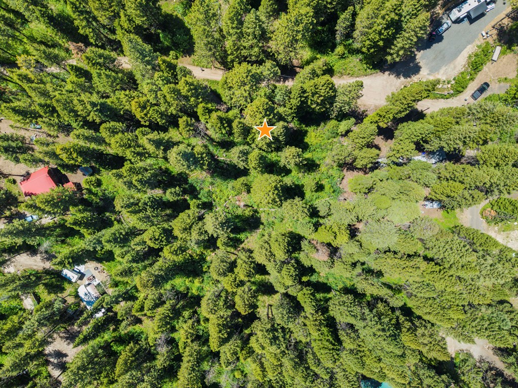 520 Susan Road, Unit 25 Cascade, ID 83611 - Photo 7 of 11 Overhead of Lot