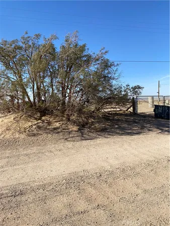 a view of a yard with trees in the background