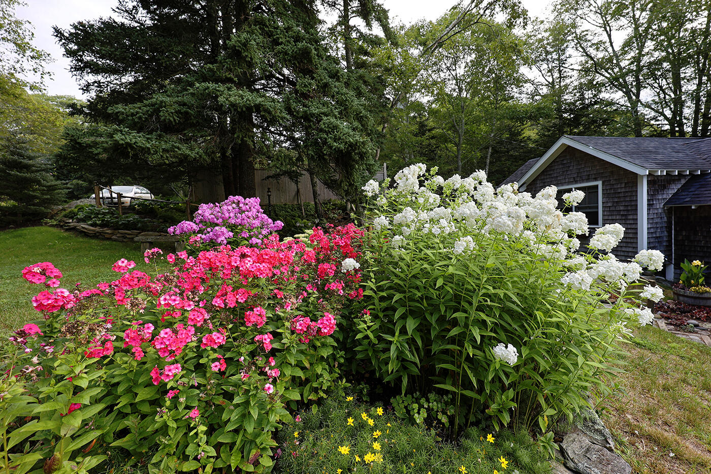 25 Barter Point Road St. George, ME 04860 - Photo 3 of 53 330A0002500 cand