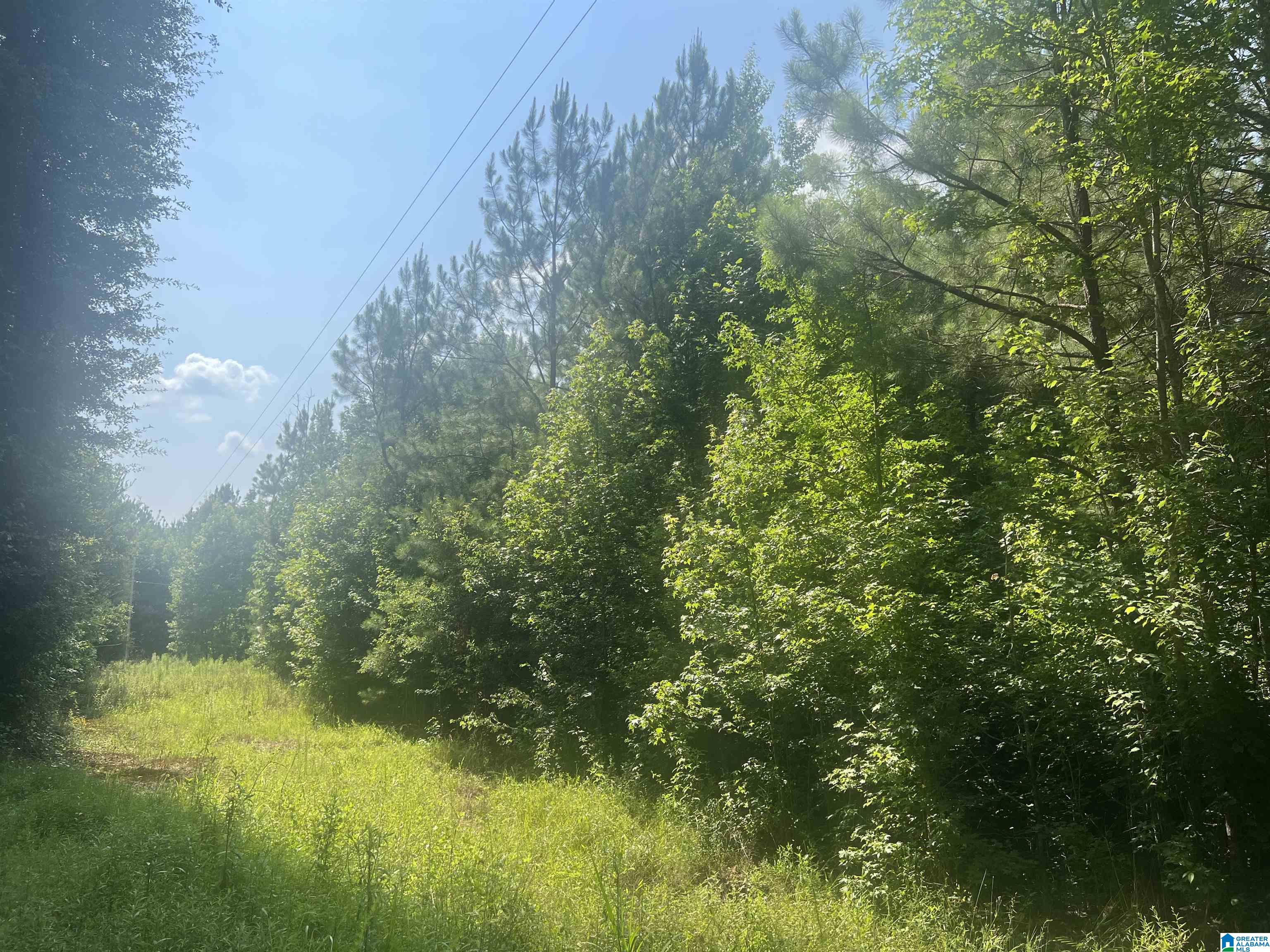 0 Mat Moore Road Lawley, AL 36793 - Photo 4 of 5