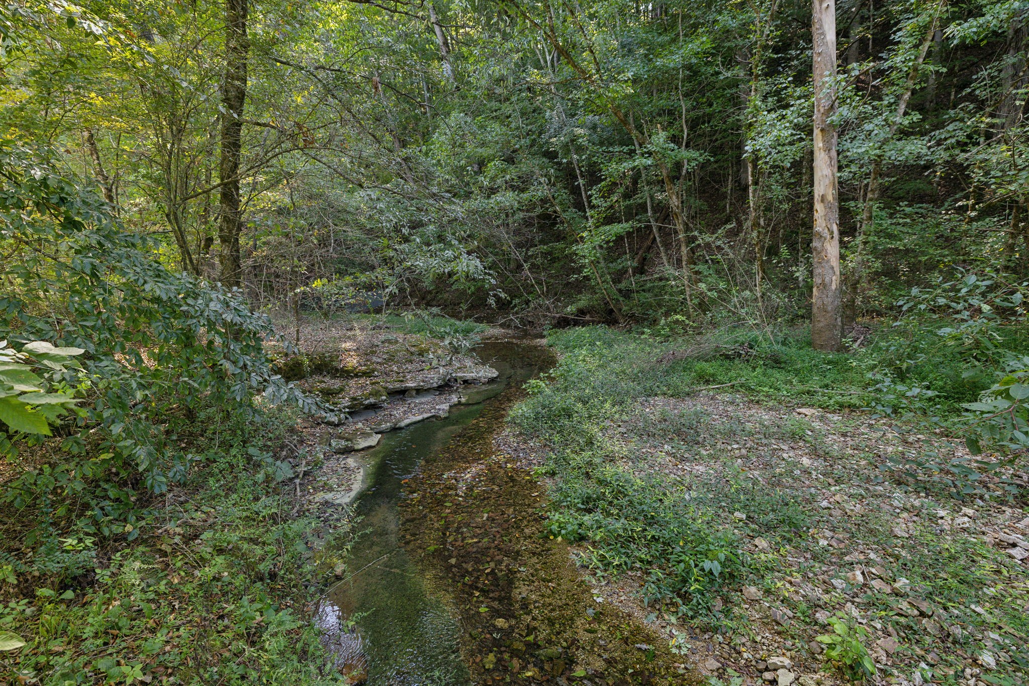 920 Shannon Creek Road Goodspring, TN 38460 - Photo 54 of 58 Gallery Image 54