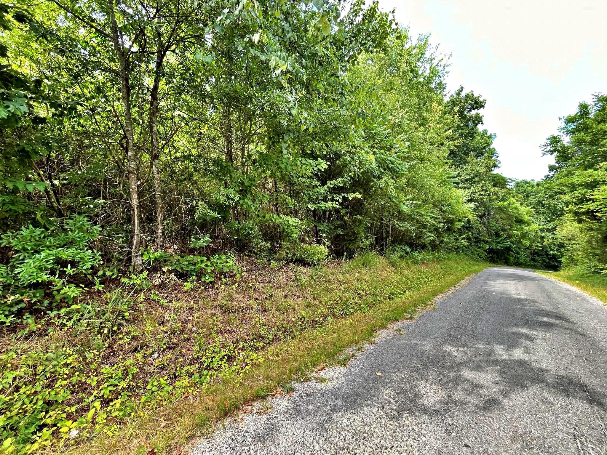 0 Ivy Moore Circle Decatur, TN 37322 - Photo 5 of 10 Gallery Image 5
