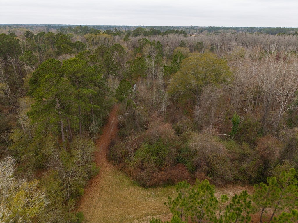 998 Fellowship Road Hahira, GA 31632 - Photo 69 of 79 Gallery Image 69