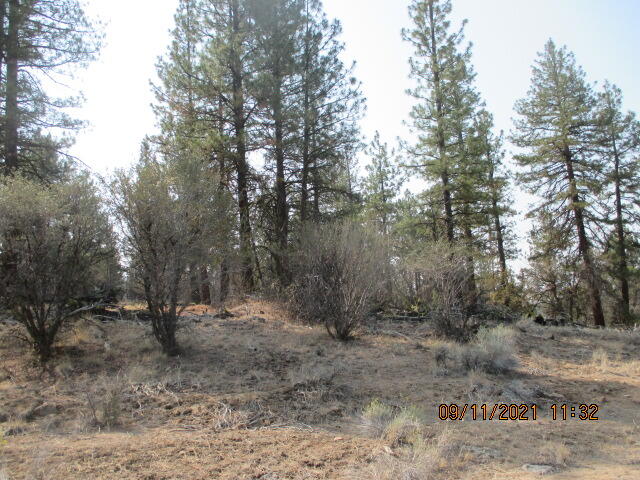 Lot 1 Rio Vista Drive Beatty, OR 97621 - Photo 2 of 4 IMG_7733