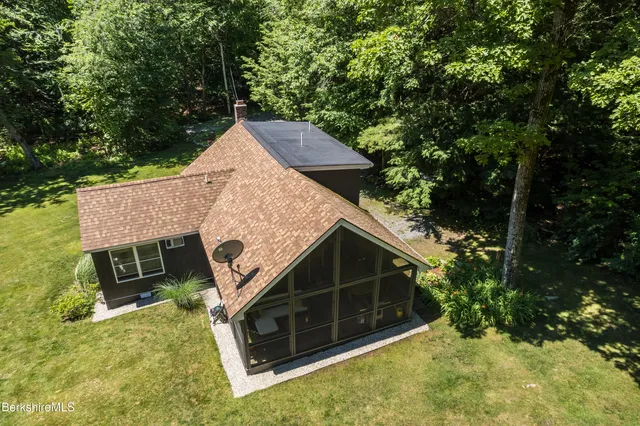 a view of a yard with plants and a large tree