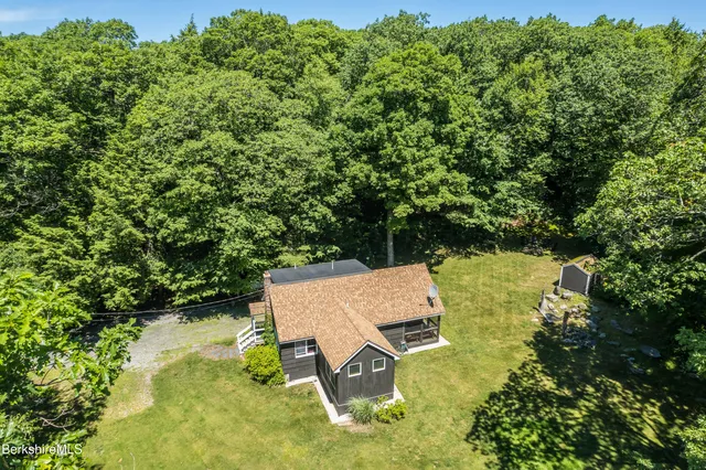a view of a lush green forest with a tree