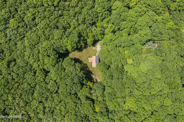 a view of a garden with a building