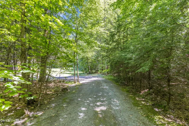 a view of a swimming pool with a yard and large trees