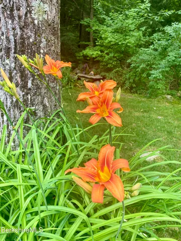 $480,000 | 14 Norwalk Acres Road, Monterey, MA 01245