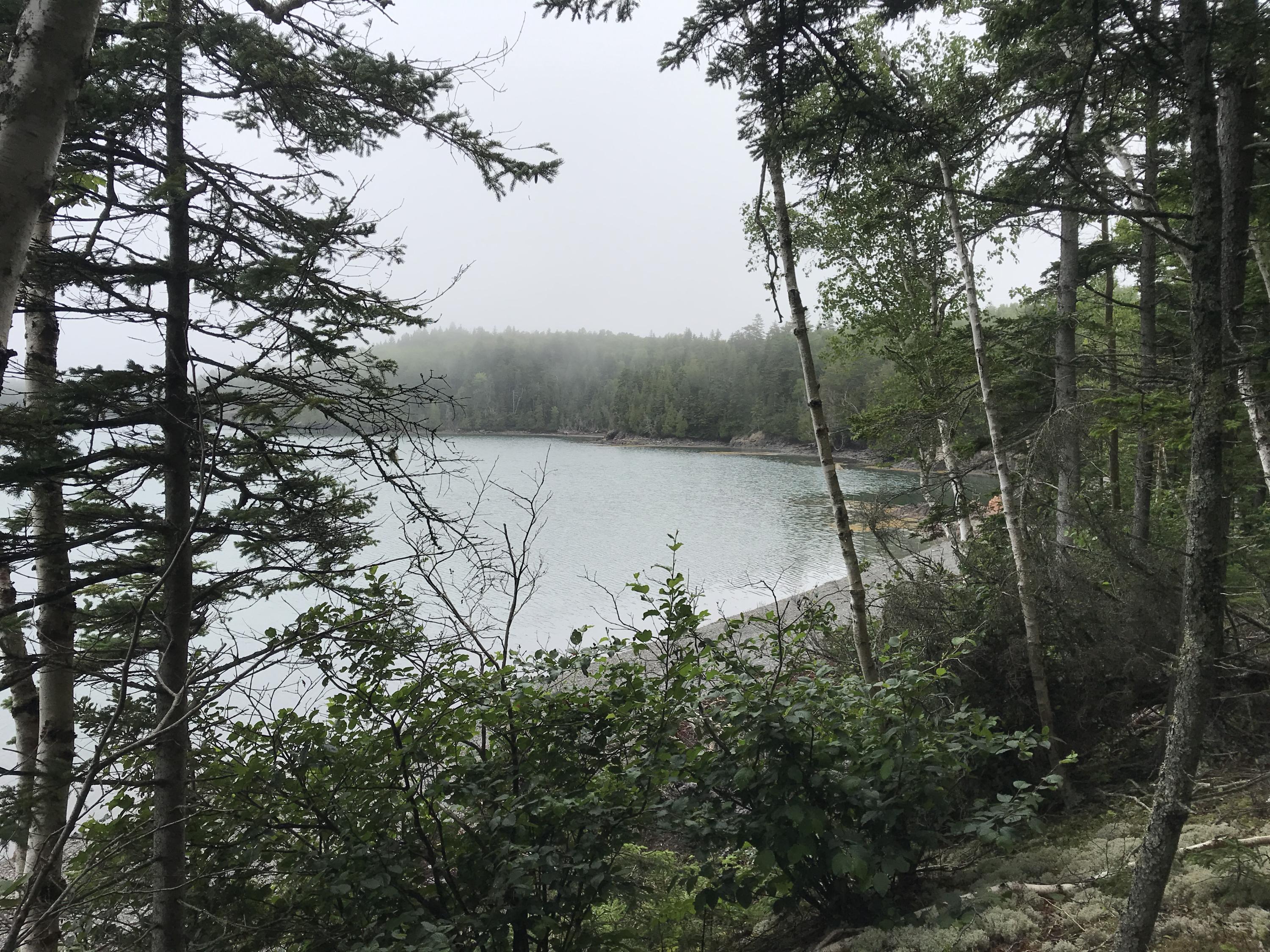 488 North Lubec Road Lubec, ME 04652 - Photo 82 of 120 IMG_1703