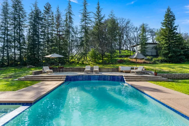 a view of swimming pool with lawn chairs and plants
