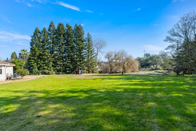 a view of grassy field with trees