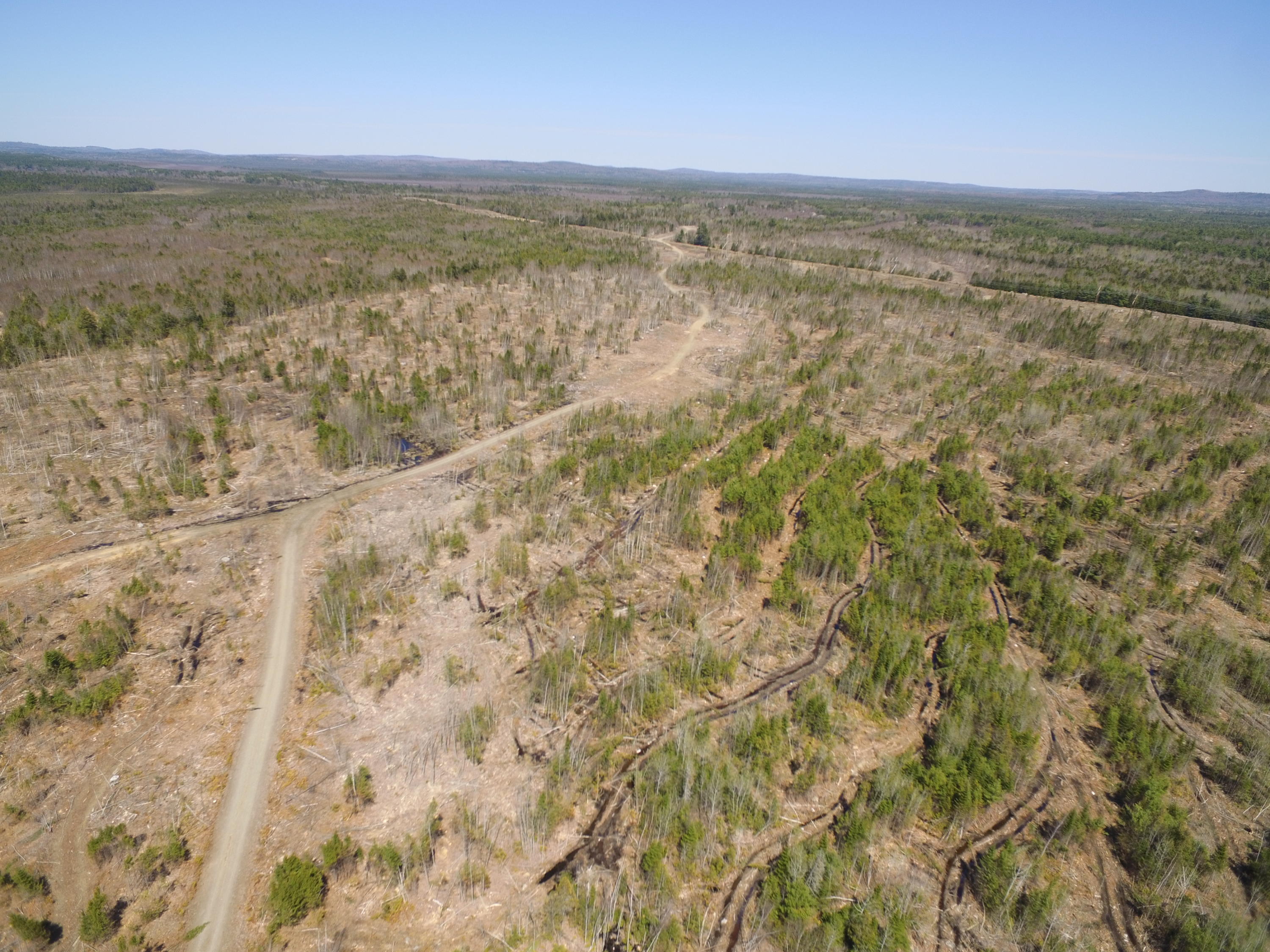 Tbd Goulds Ridge Road Passadumkeag, ME 04475 - Photo 17 of 27 DJI_0109