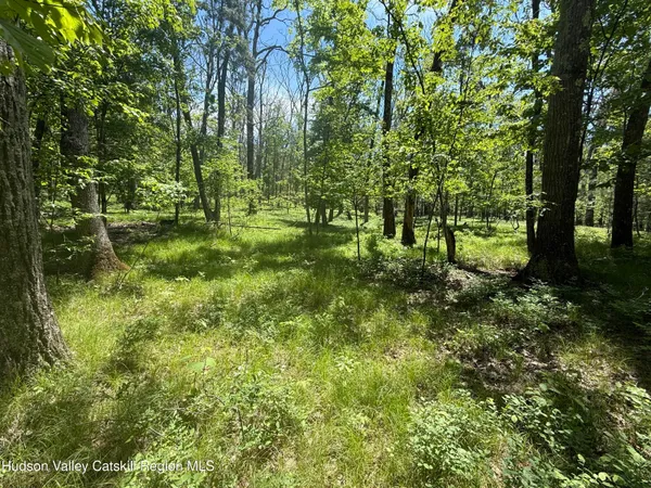 $399,000 | 338 Mossy Hill Road, Catskill, NY 12414