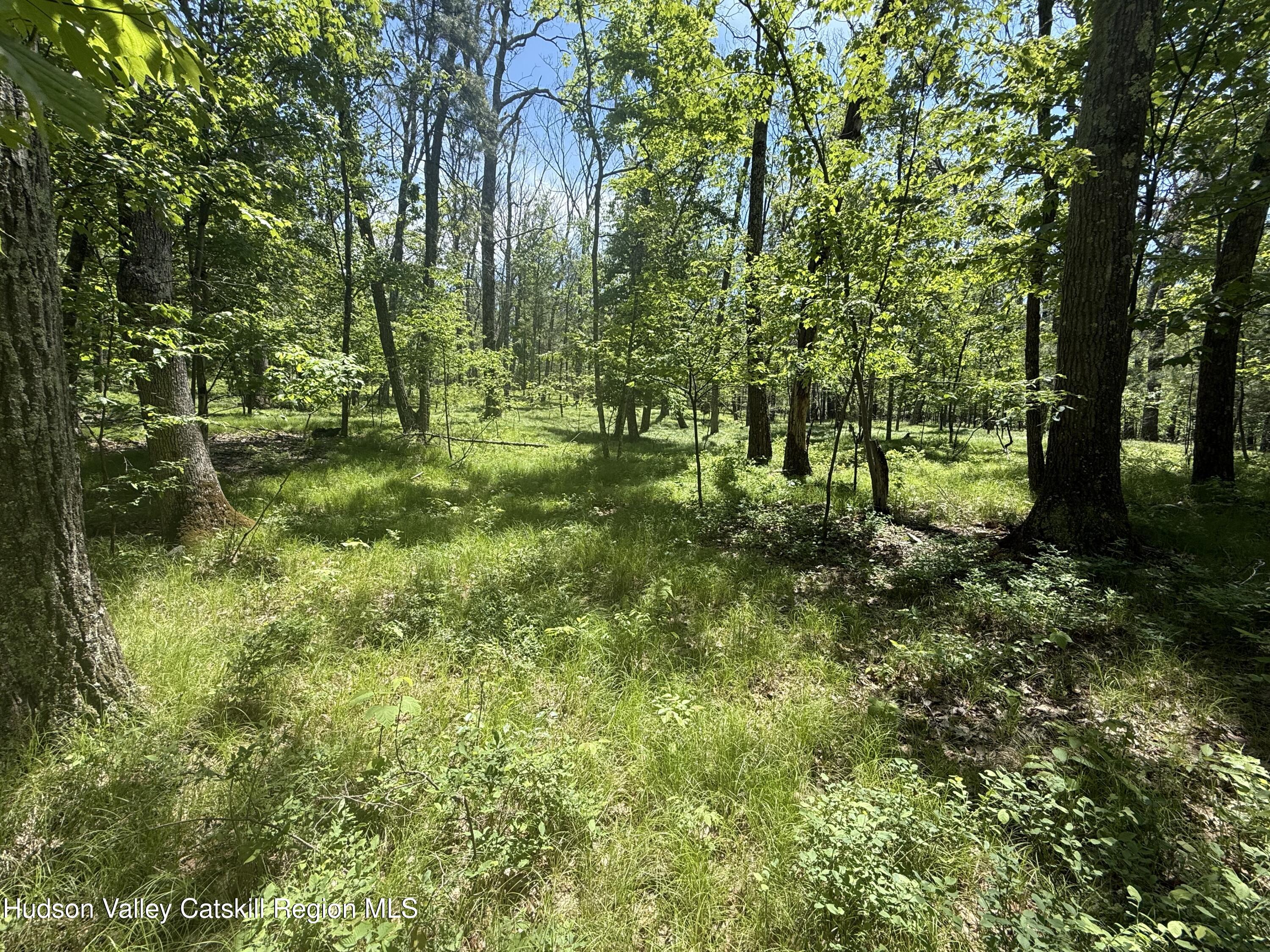 338 Mossy Hill Road Catskill, NY 12414 - Photo 1 of 17 IMG_2350