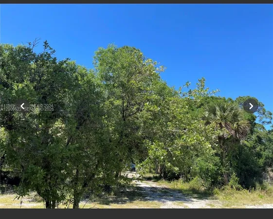 a view of a tree with a yard