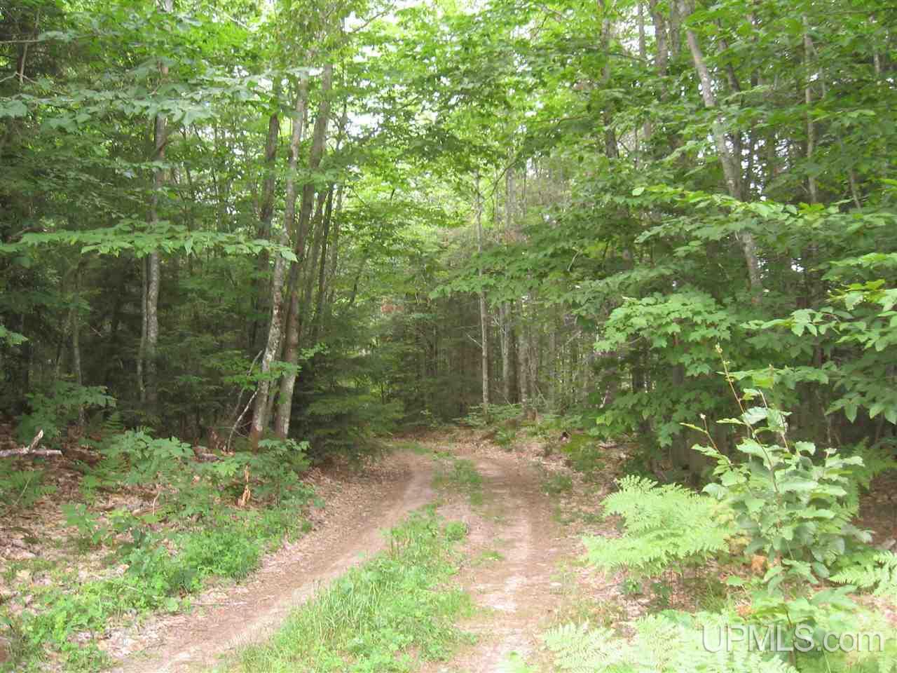0 Rhody Cr, Unit CARTER LAKE RDP Seney, MI 49883 - Photo 34 of 36