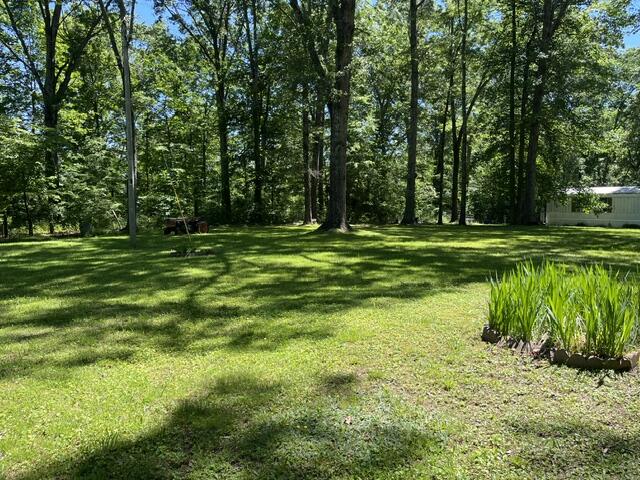 362 Cullen Savage Road Palmer, TN 37365 - Photo 21 of 76 IMG_7159