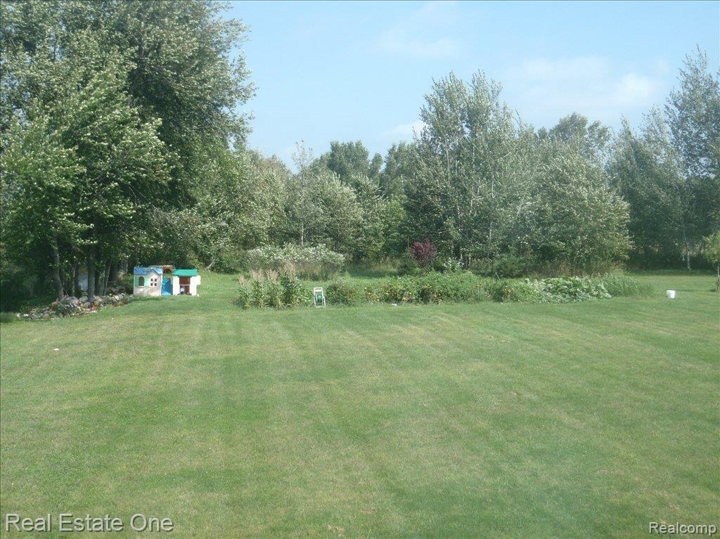 9734 West Allen Road Fowlerville, MI 48836 - Photo 2 of 2 Back Yard Views