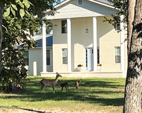 $550,000 | 2666 Indian Springs Road, Marianna, FL 32446