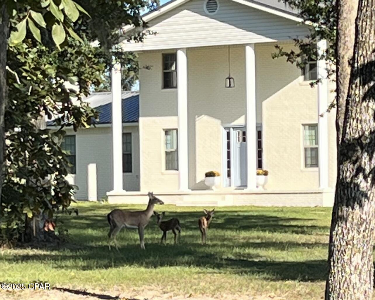 2666 Indian Springs Road Marianna, FL 32446 - Photo 2 of 45