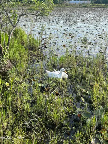 $550,000 | 2666 Indian Springs Road, Marianna, FL 32446