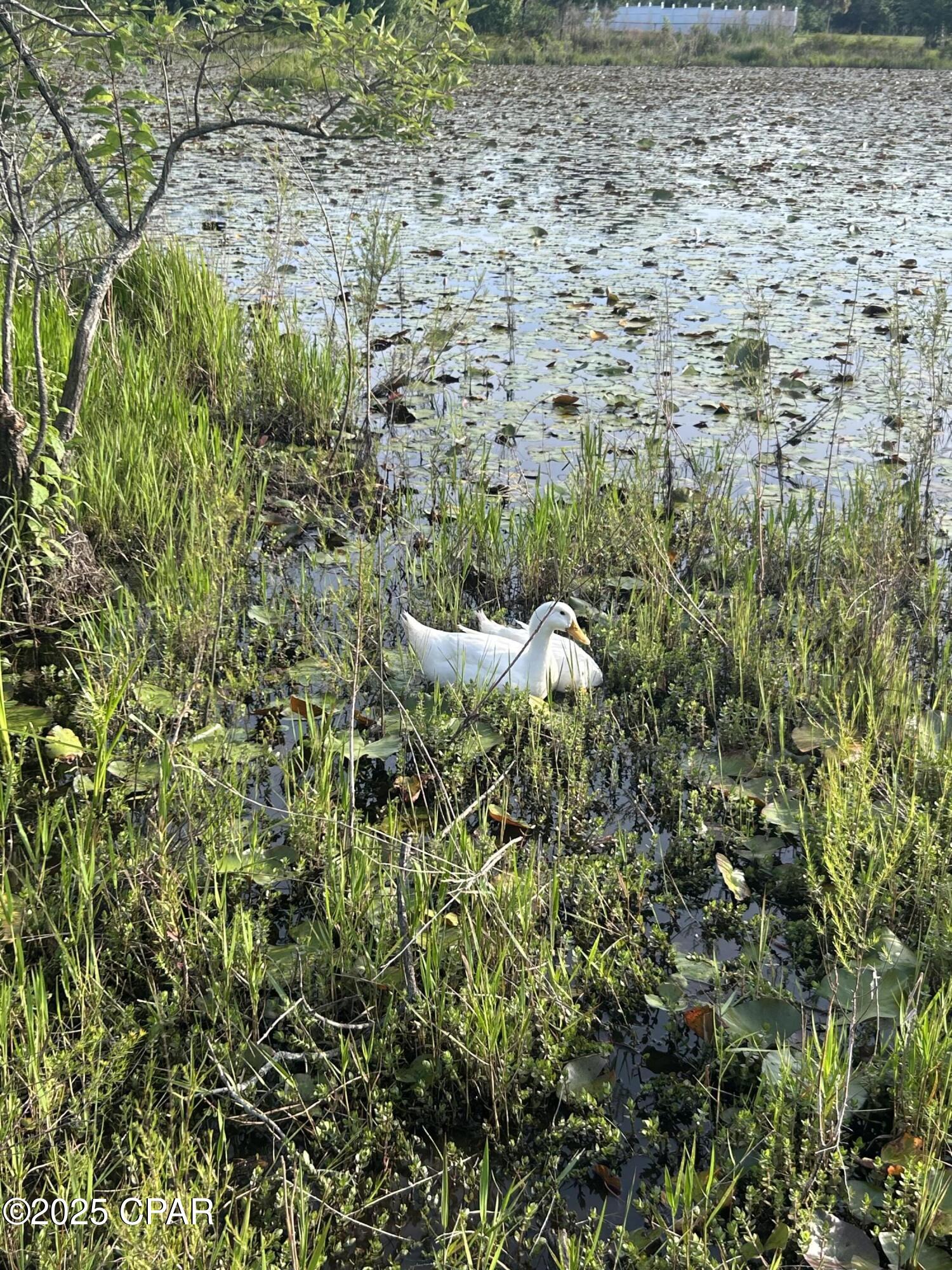 2666 Indian Springs Road Marianna, FL 32446 - Photo 44 of 45