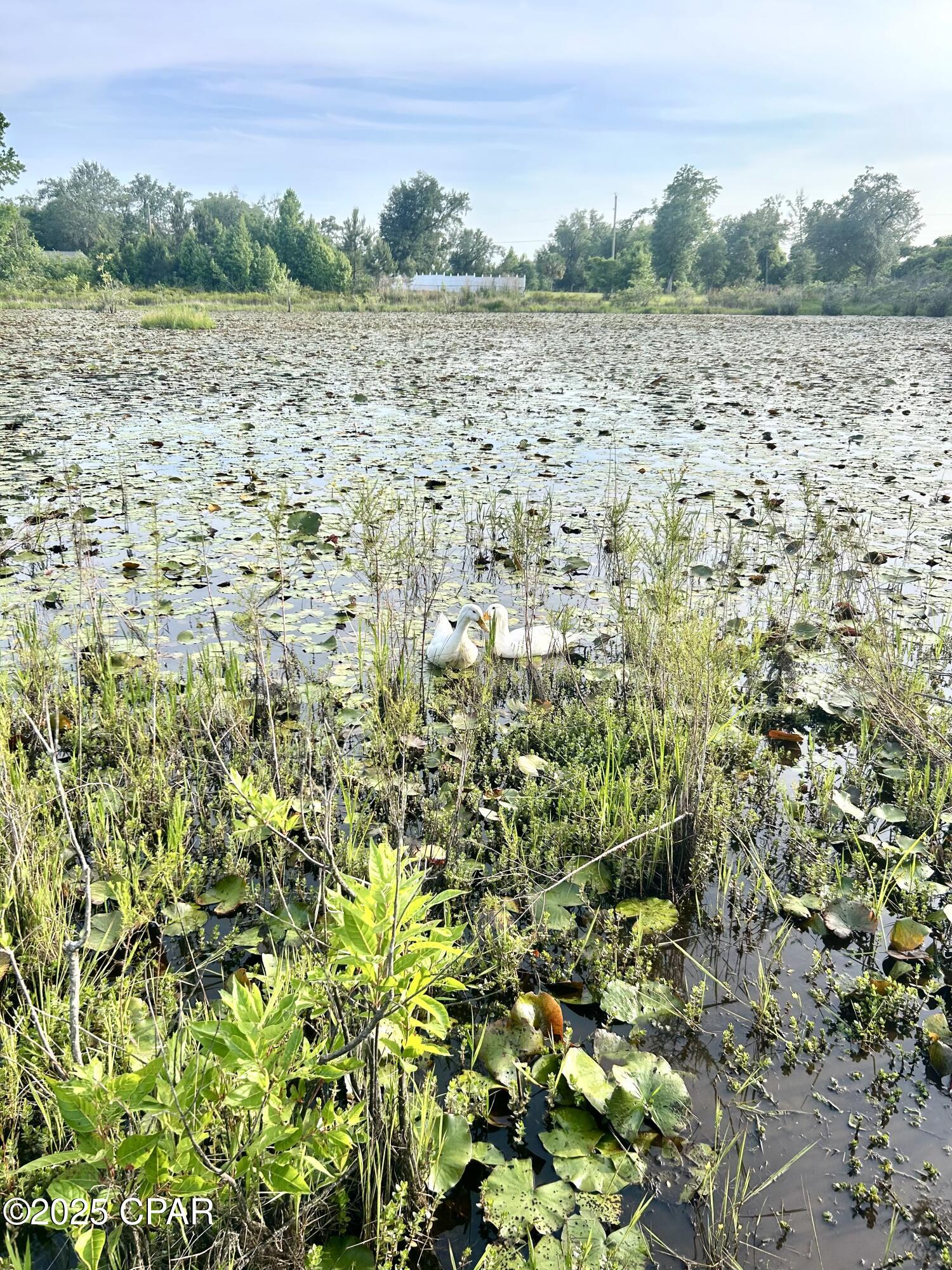 2666 Indian Springs Road Marianna, FL 32446 - Photo 45 of 45