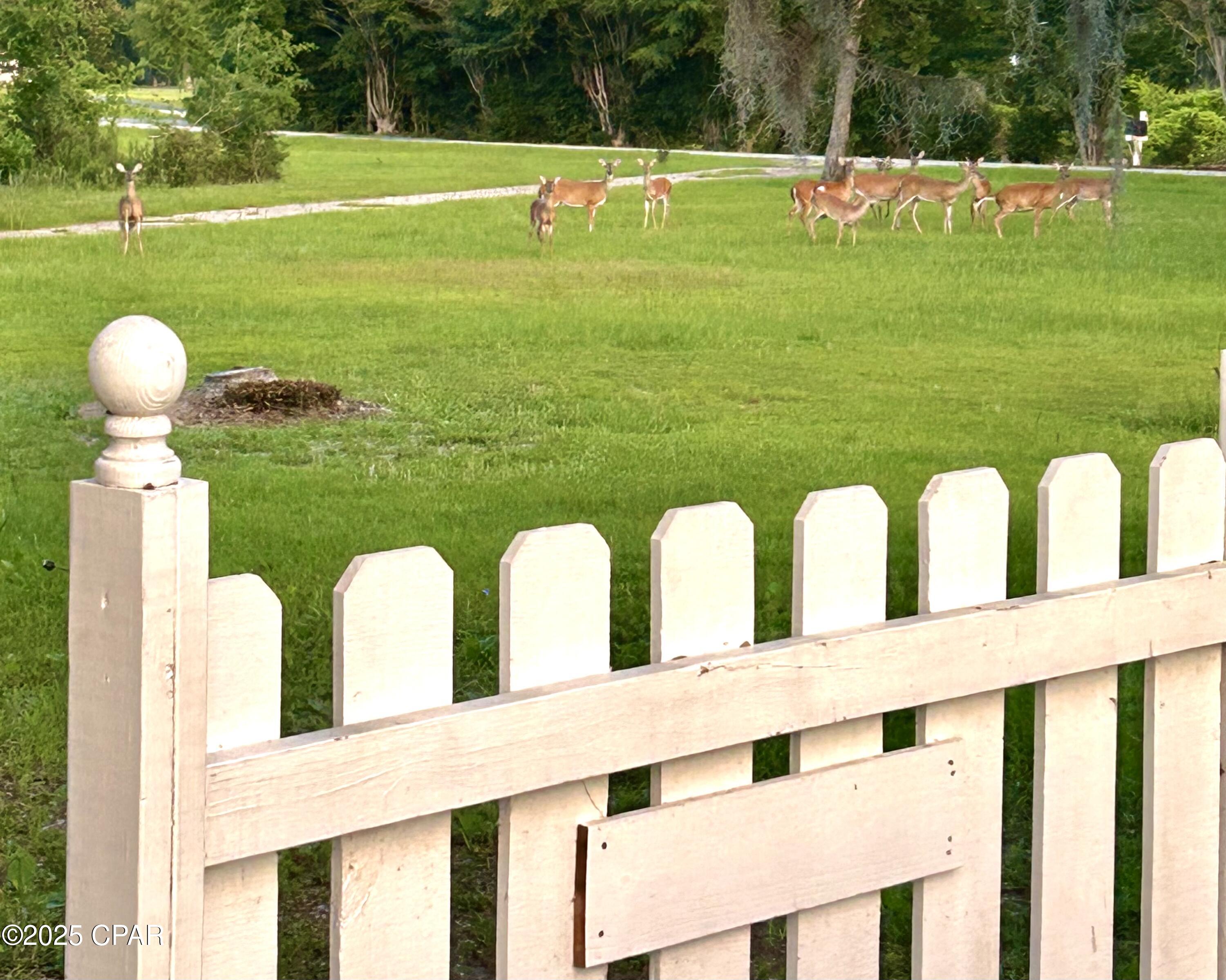 2666 Indian Springs Road Marianna, FL 32446 - Photo 5 of 45